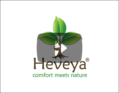Heveya explained video